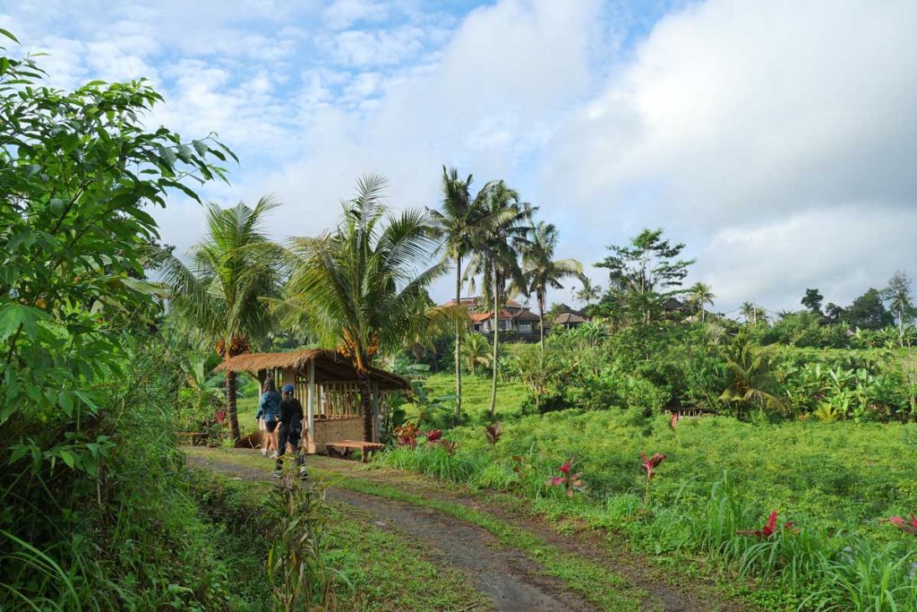 Trekking in Sidemen Village